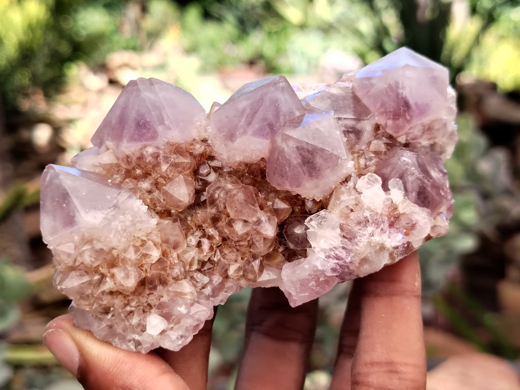 Natural Amethyst Spirit Quartz Clusters x 6 From Boekenhouthoek, South Africa - Toprock Gemstones and Minerals 