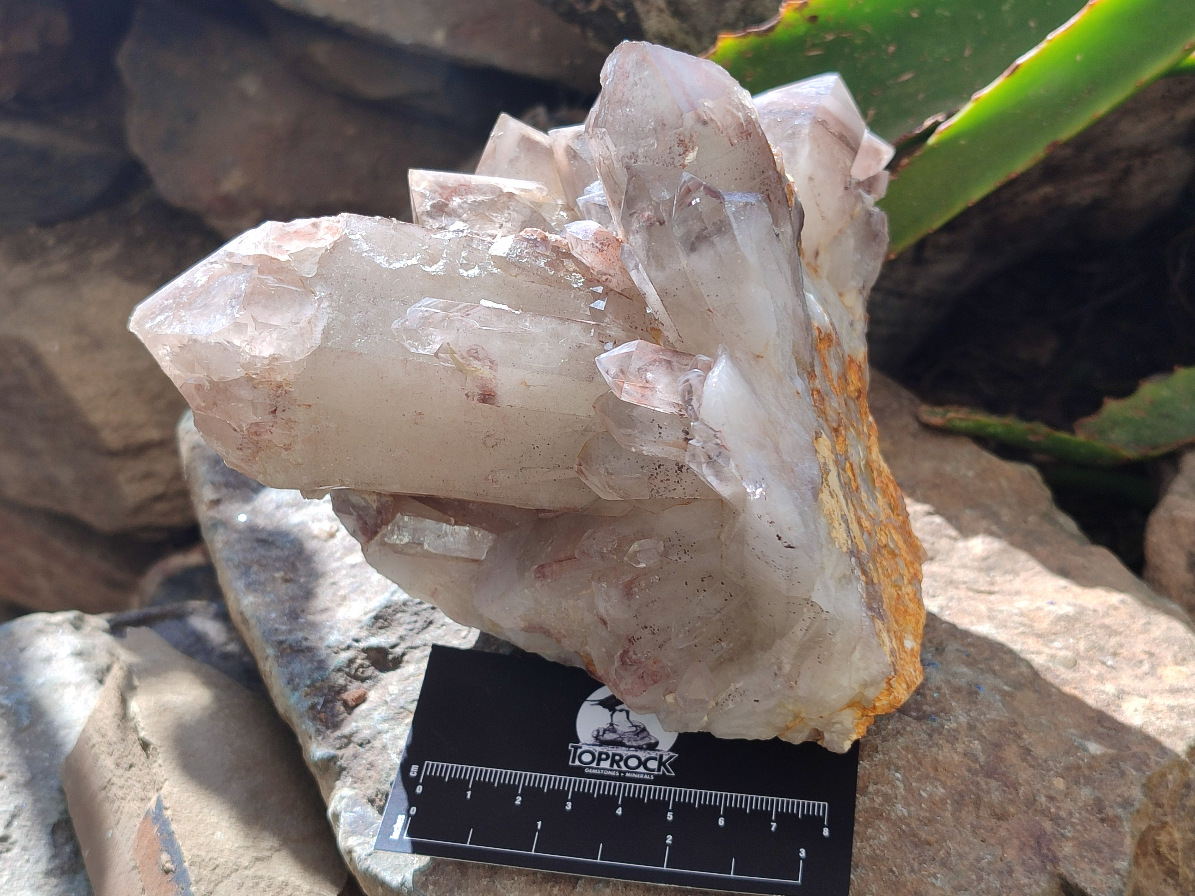 Natural Red Hematoid Quartz Cluster x 1 From Karoi, Zimbabwe - Toprock Gemstones and Minerals 