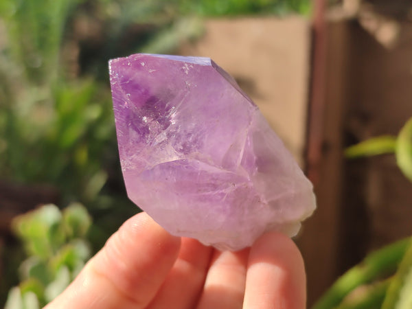 Natural Jacaranda Amethyst Quartz Crystals x 24 from Mumbwa, Zambia - Toprock Gemstones and Minerals 