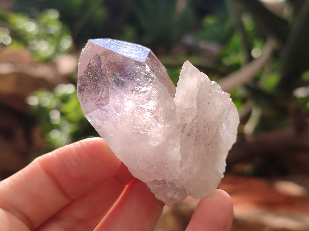 Natural Jacaranda Amethyst Quartz Crystals x 24 from Mumbwa, Zambia - Toprock Gemstones and Minerals 