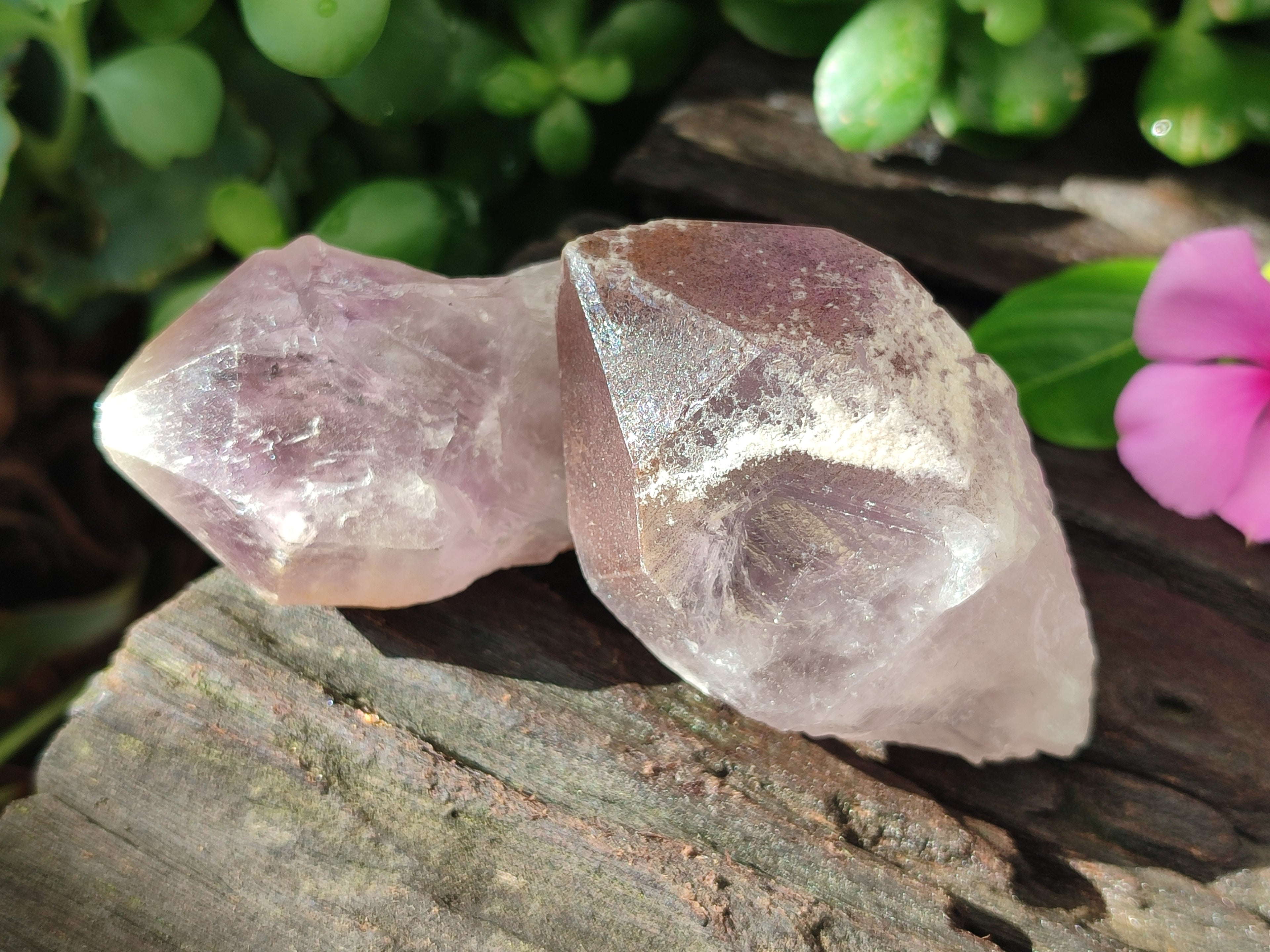 Natural Jacaranda Amethyst Quartz Crystals x 24 from Mumbwa, Zambia - Toprock Gemstones and Minerals 