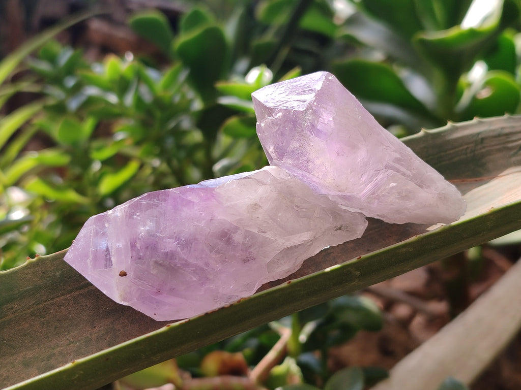 Natural Jacaranda Amethyst Quartz Crystals x 24 from Mumbwa, Zambia - Toprock Gemstones and Minerals 