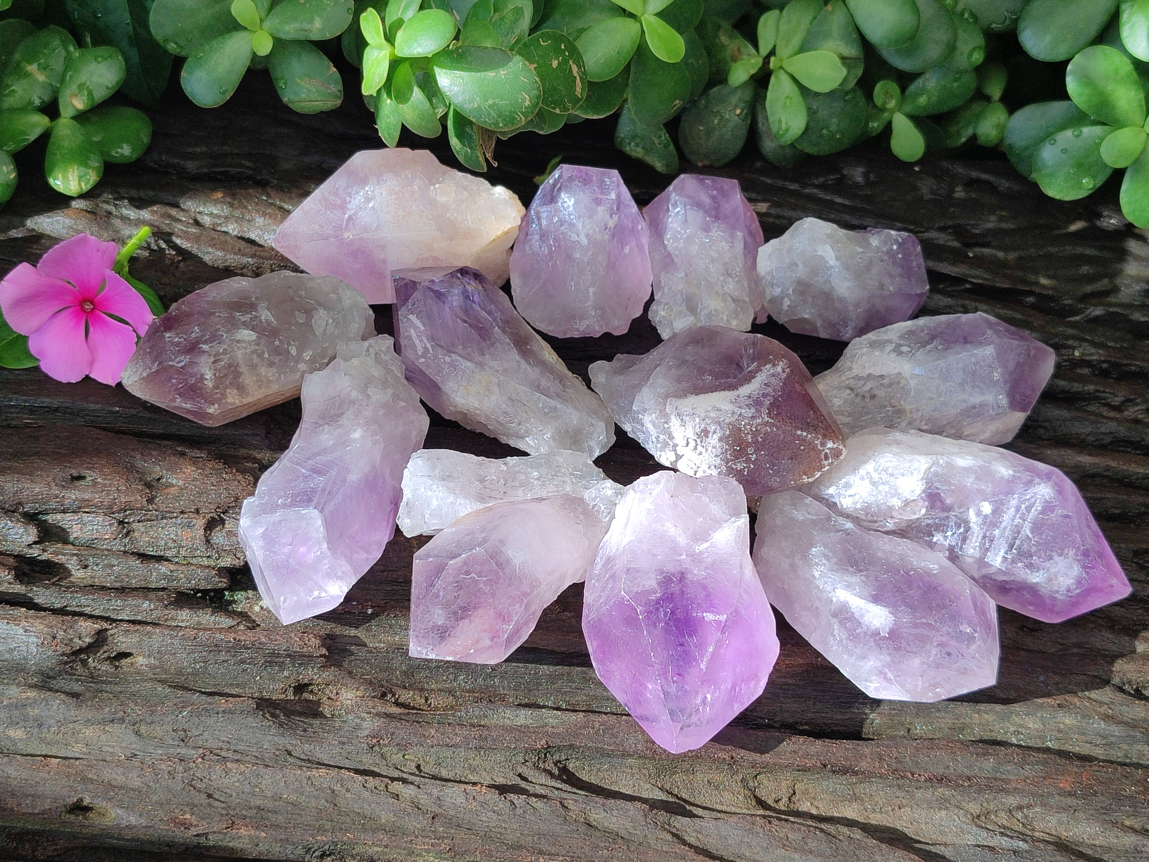 Natural Jacaranda Amethyst Quartz Crystals x 24 from Mumbwa, Zambia - Toprock Gemstones and Minerals 