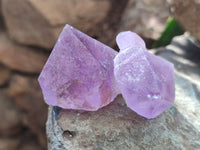 Natural Jacaranda Amethyst Quartz Crystals x 24 from Mumbwa, Zambia - Toprock Gemstones and Minerals 