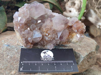 Natural Cactus Flower Spirit Quartz Clusters x 3 From Boekenhouthoek, South Africa