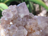Natural Cactus Flower Spirit Quartz Clusters x 3 From Boekenhouthoek, South Africa