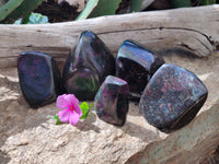 Polished Ruby Corundum In Chrome Verdite Standing Free Forms x 5 From Zimbabwe - Toprock Gemstones and Minerals 
