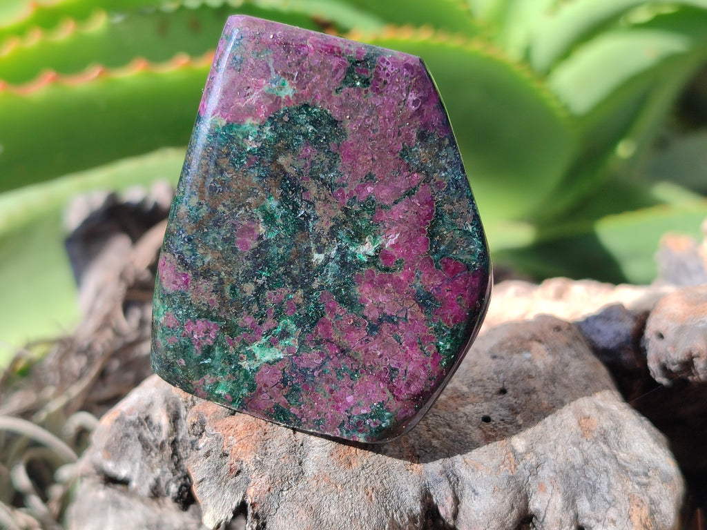 Polished Ruby Corundum In Chrome Verdite Standing Free Forms x 5 From Zimbabwe - Toprock Gemstones and Minerals 