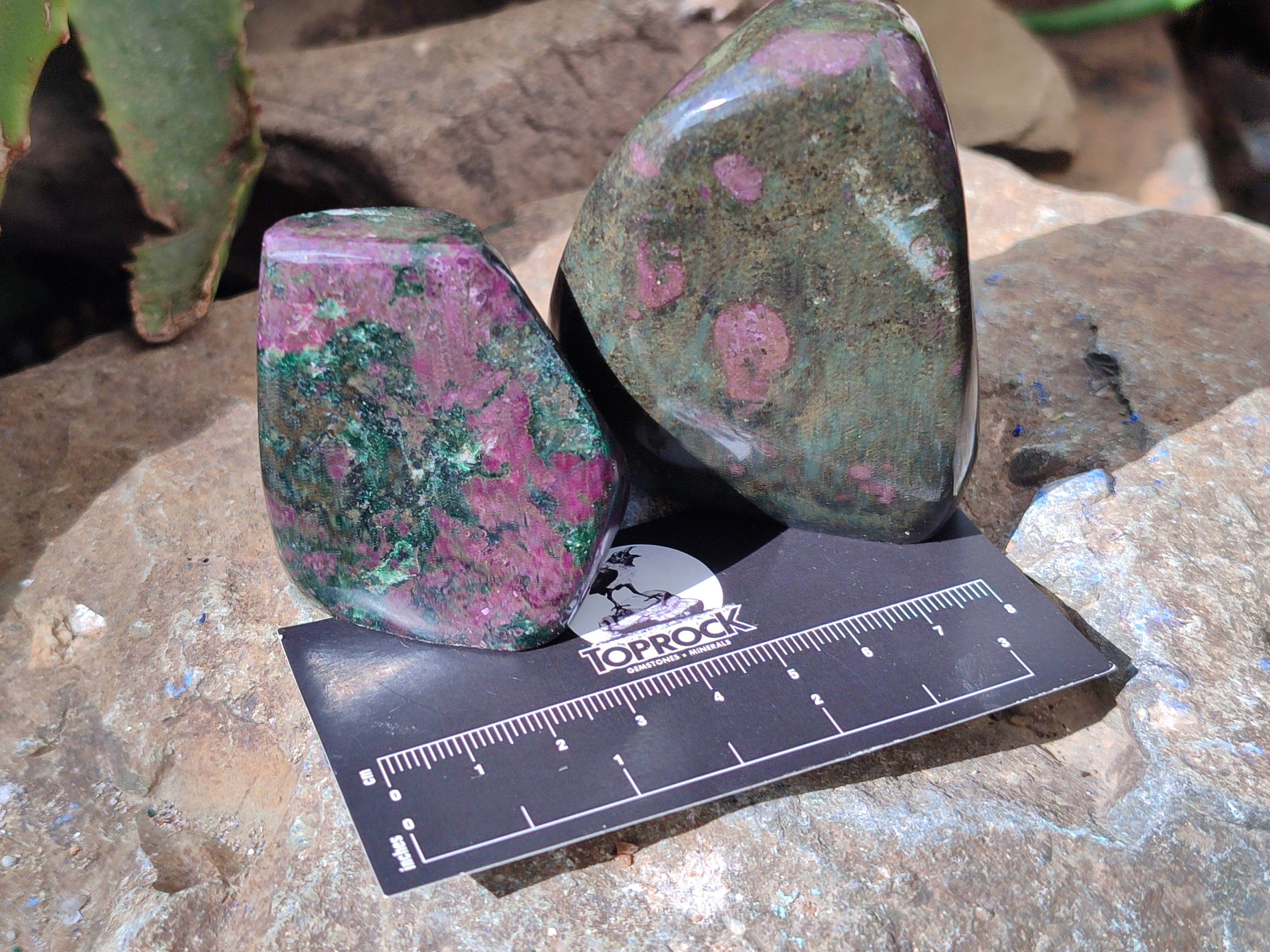 Polished Ruby Corundum In Chrome Verdite Standing Free Forms x 5 From Zimbabwe - Toprock Gemstones and Minerals 