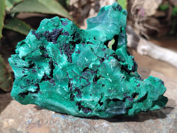 Natural Silky Malachite Specimens x 2 From Kasompe, Congo - Toprock Gemstones and Minerals 
