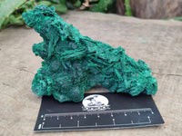 Natural Silky Malachite Specimens x 2 From Kasompe, Congo - Toprock Gemstones and Minerals 