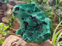 Natural Silky Malachite Specimens x 2 From Kasompe, Congo - Toprock Gemstones and Minerals 