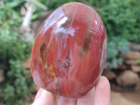 Polished Podocarpus Petrified Wood Standing Free Forms x 6 From Mahajanga, Madagascar - Toprock Gemstones and Minerals 