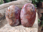 Polished Podocarpus Petrified Wood Standing Free Forms x 6 From Mahajanga, Madagascar - Toprock Gemstones and Minerals 