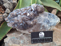 Natural Brandberg Sceptre Cascading Window Quartz x 1 from Brandberg Mountain, Namibia
