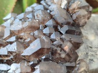 Natural Brandberg Sceptre Cascading Window Quartz x 1 from Brandberg Mountain, Namibia