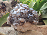 Natural Brandberg Sceptre Cascading Window Quartz x 1 from Brandberg Mountain, Namibia