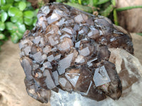 Natural Brandberg Sceptre Cascading Window Quartz x 1 from Brandberg Mountain, Namibia