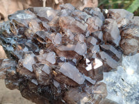 Natural Brandberg Sceptre Cascading Window Quartz x 1 from Brandberg Mountain, Namibia