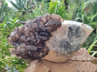 Natural Brandberg Sceptre Cascading Window Quartz x 1 from Brandberg Mountain, Namibia