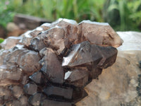 Natural Brandberg Sceptre Cascading Window Quartz x 1 from Brandberg Mountain, Namibia