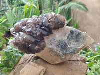 Natural Brandberg Sceptre Cascading Window Quartz x 1 from Brandberg Mountain, Namibia