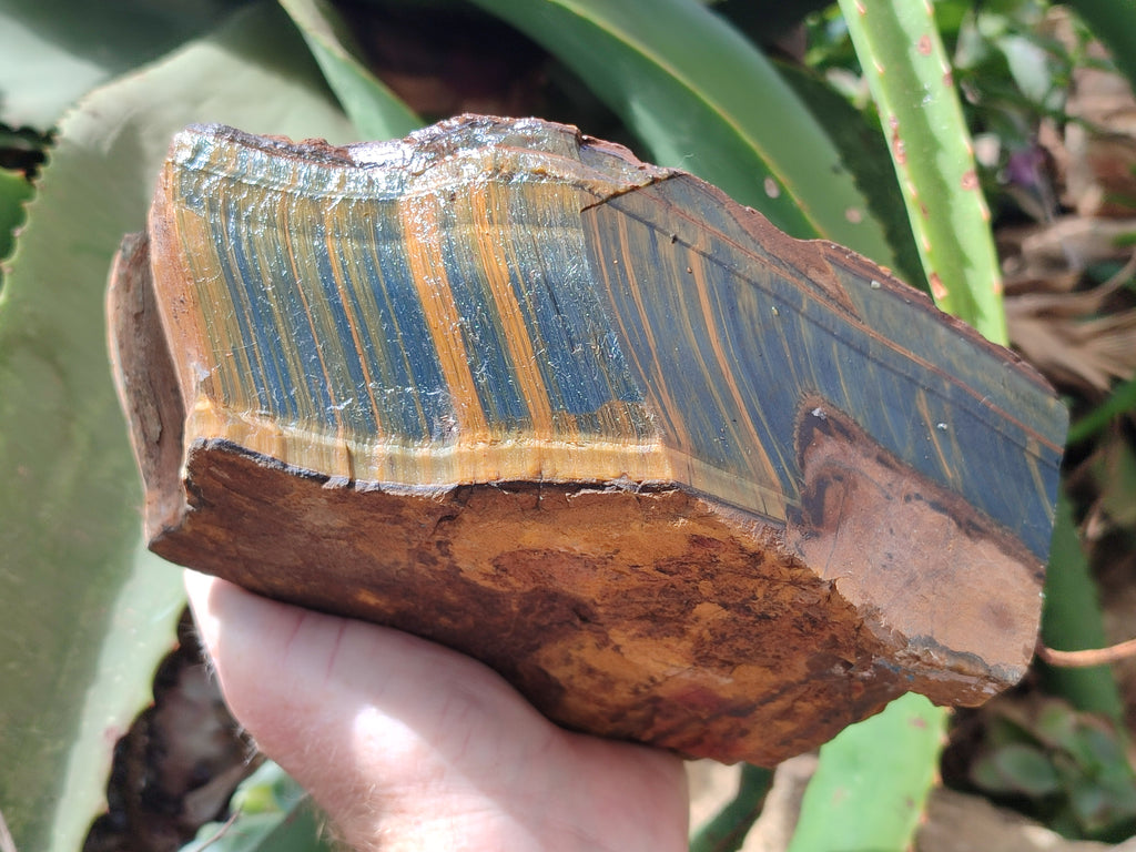 Polished On One Side Tiger's Eye Slabs x 2 From Prieska, South Africa - Toprock Gemstones and Minerals 