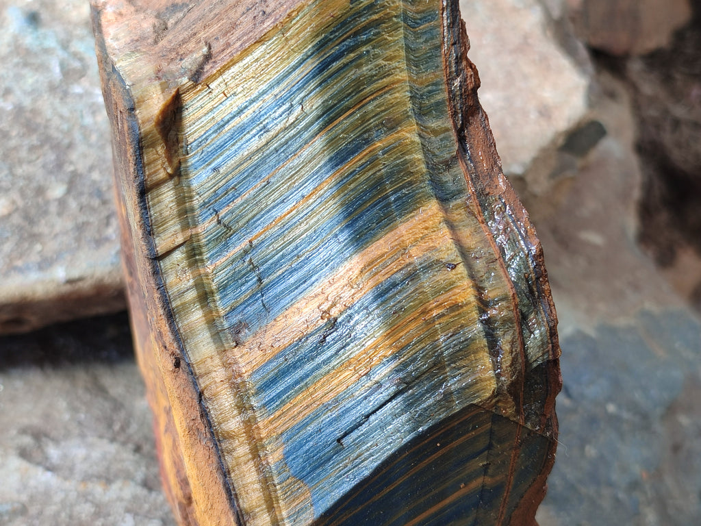 Polished On One Side Tiger's Eye Slabs x 2 From Prieska, South Africa - Toprock Gemstones and Minerals 