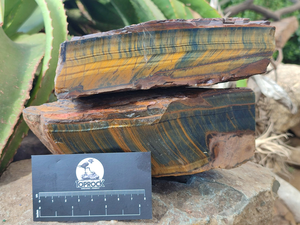 Polished On One Side Tiger's Eye Slabs x 2 From Prieska, South Africa - Toprock Gemstones and Minerals 