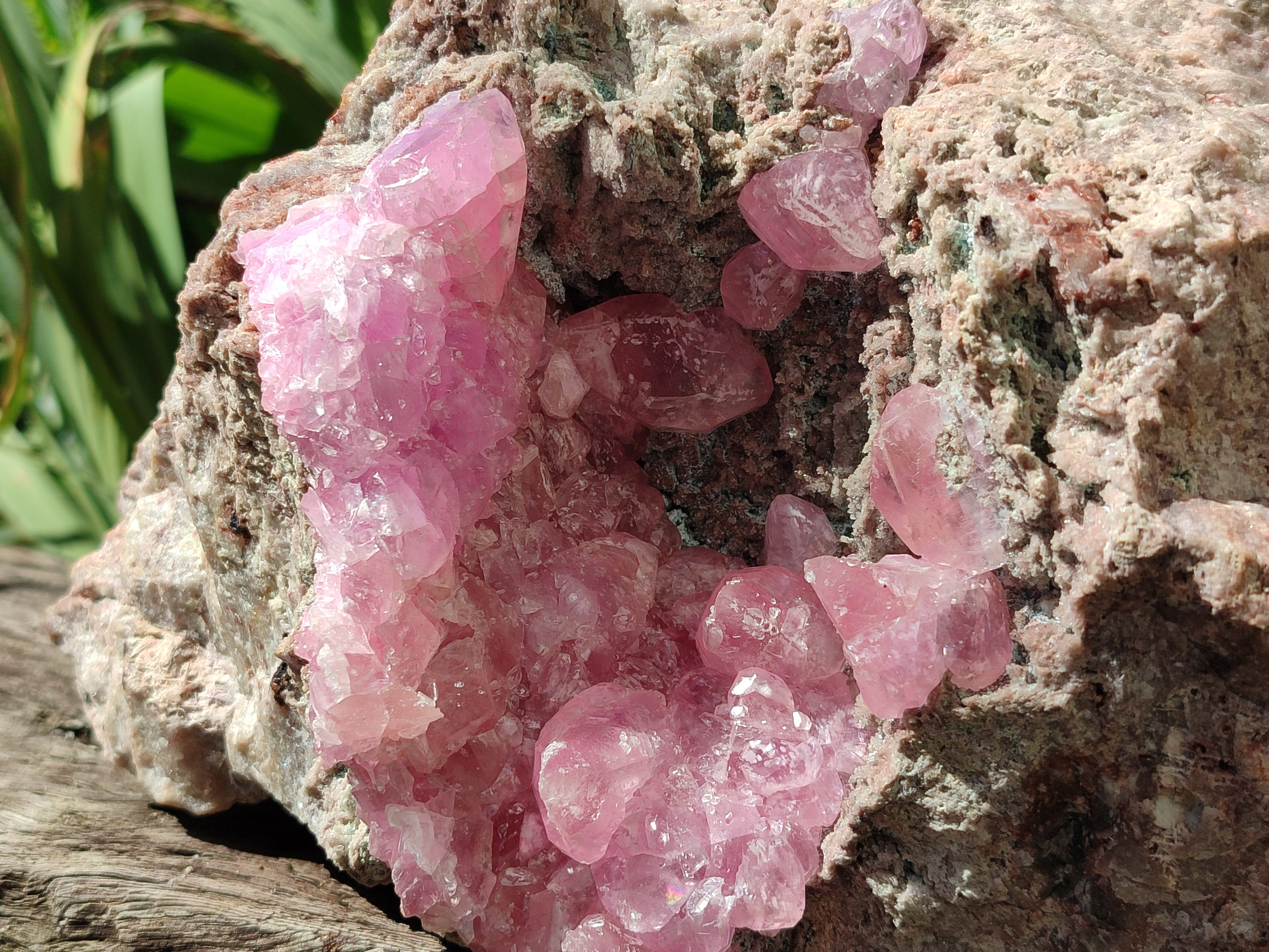 Natural Rare Rhodocalcite Specimen x 1 From Congo - Toprock Gemstones and Minerals 