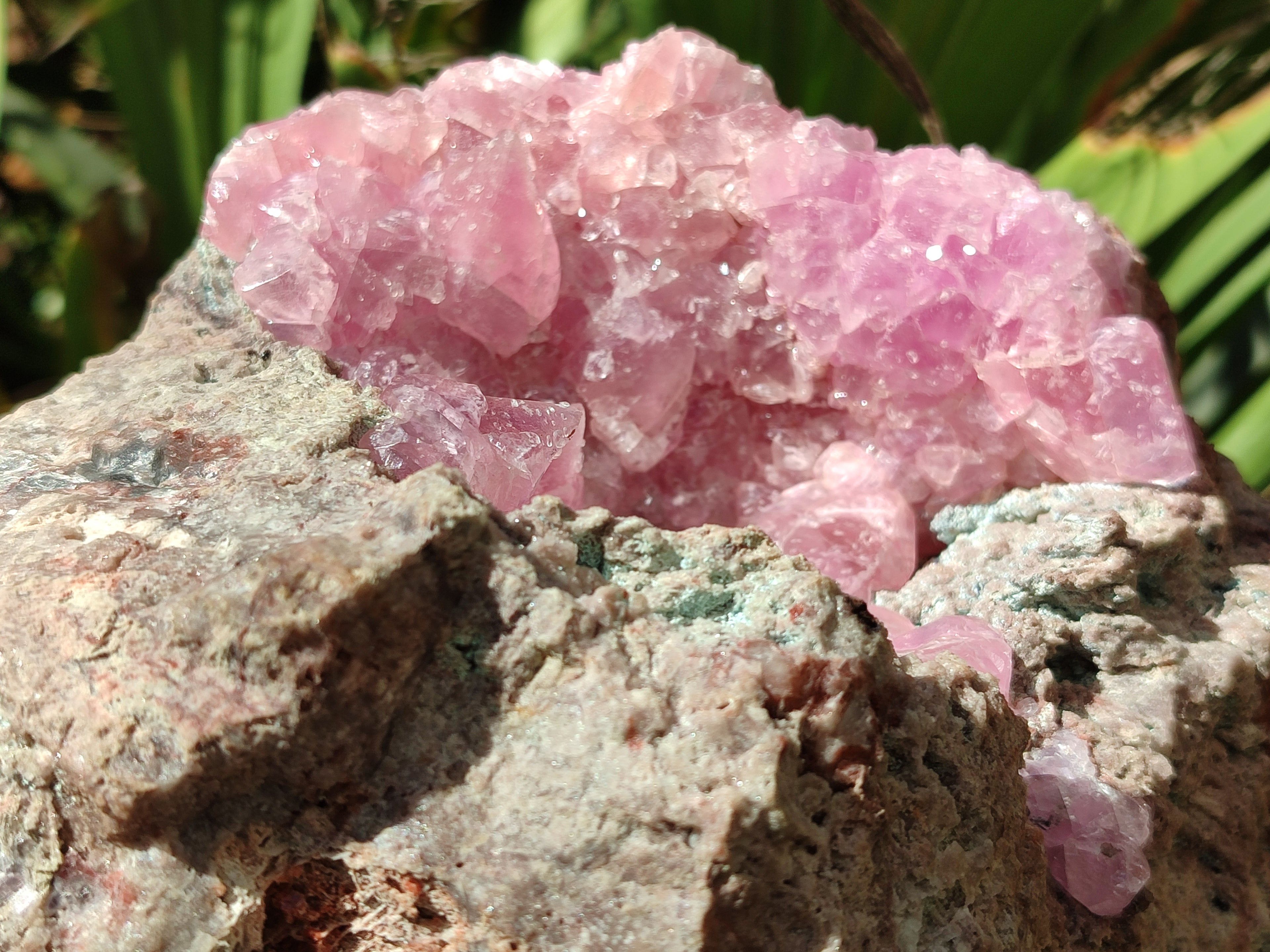 Natural Rare Rhodocalcite Specimen x 1 From Congo - Toprock Gemstones and Minerals 