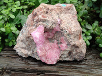 Natural Rare Rhodocalcite Specimen x 1 From Congo - Toprock Gemstones and Minerals 