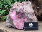 Natural Rare Rhodocalcite Specimen x 1 From Congo - Toprock Gemstones and Minerals 