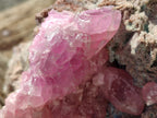 Natural Rare Rhodocalcite Specimen x 1 From Congo - Toprock Gemstones and Minerals 