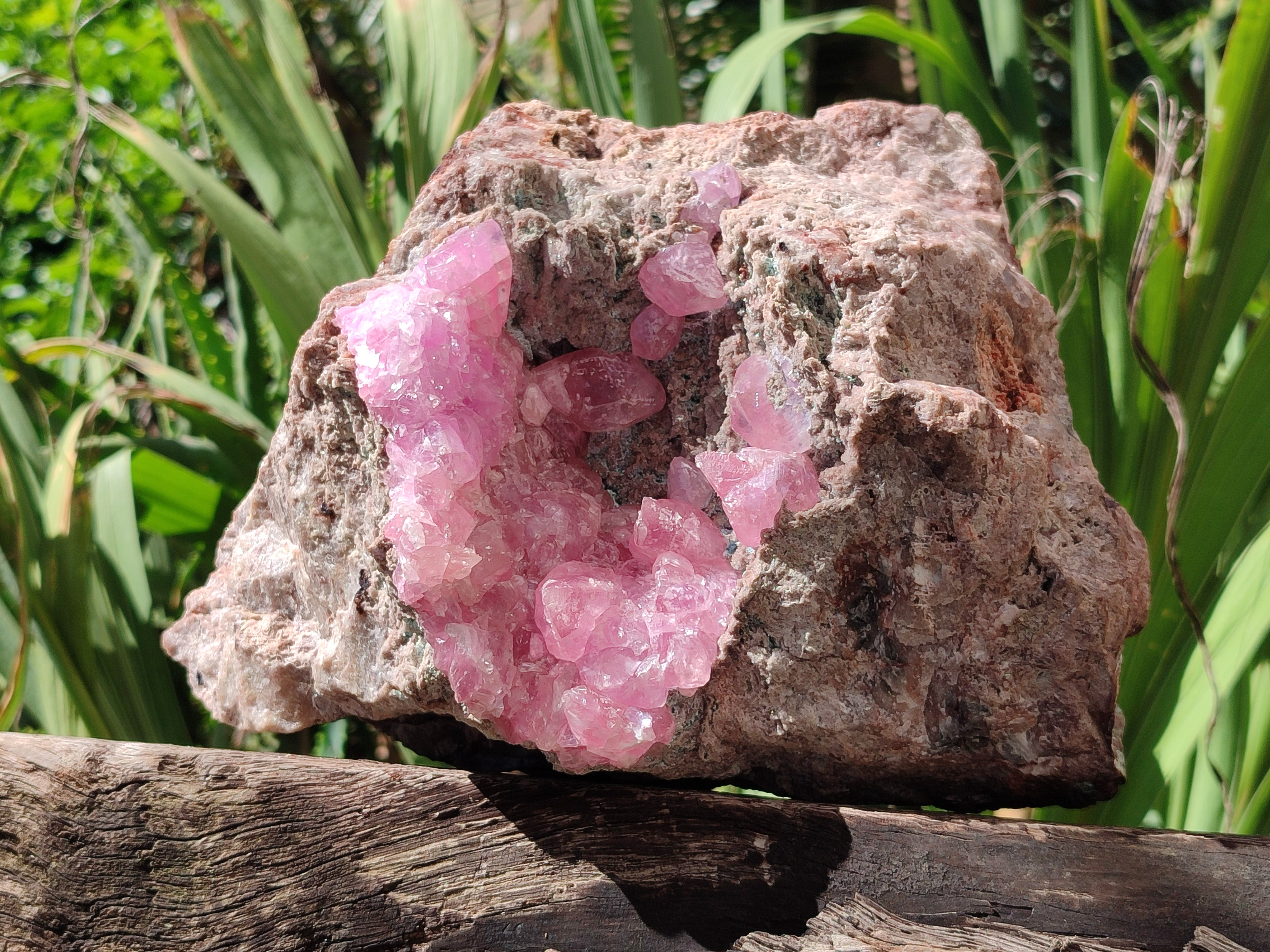 Natural Rare Rhodocalcite Specimen x 1 From Congo - Toprock Gemstones and Minerals 