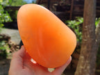Polished Orange Twist Calcite Standing Free Forms x 2 From Madagascar - Toprock Gemstones and Minerals 