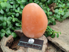 Polished Orange Twist Calcite Standing Free Forms x 2 From Madagascar - Toprock Gemstones and Minerals 