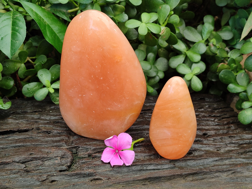 Polished Orange Twist Calcite Standing Free Forms x 2 From Madagascar - Toprock Gemstones and Minerals 