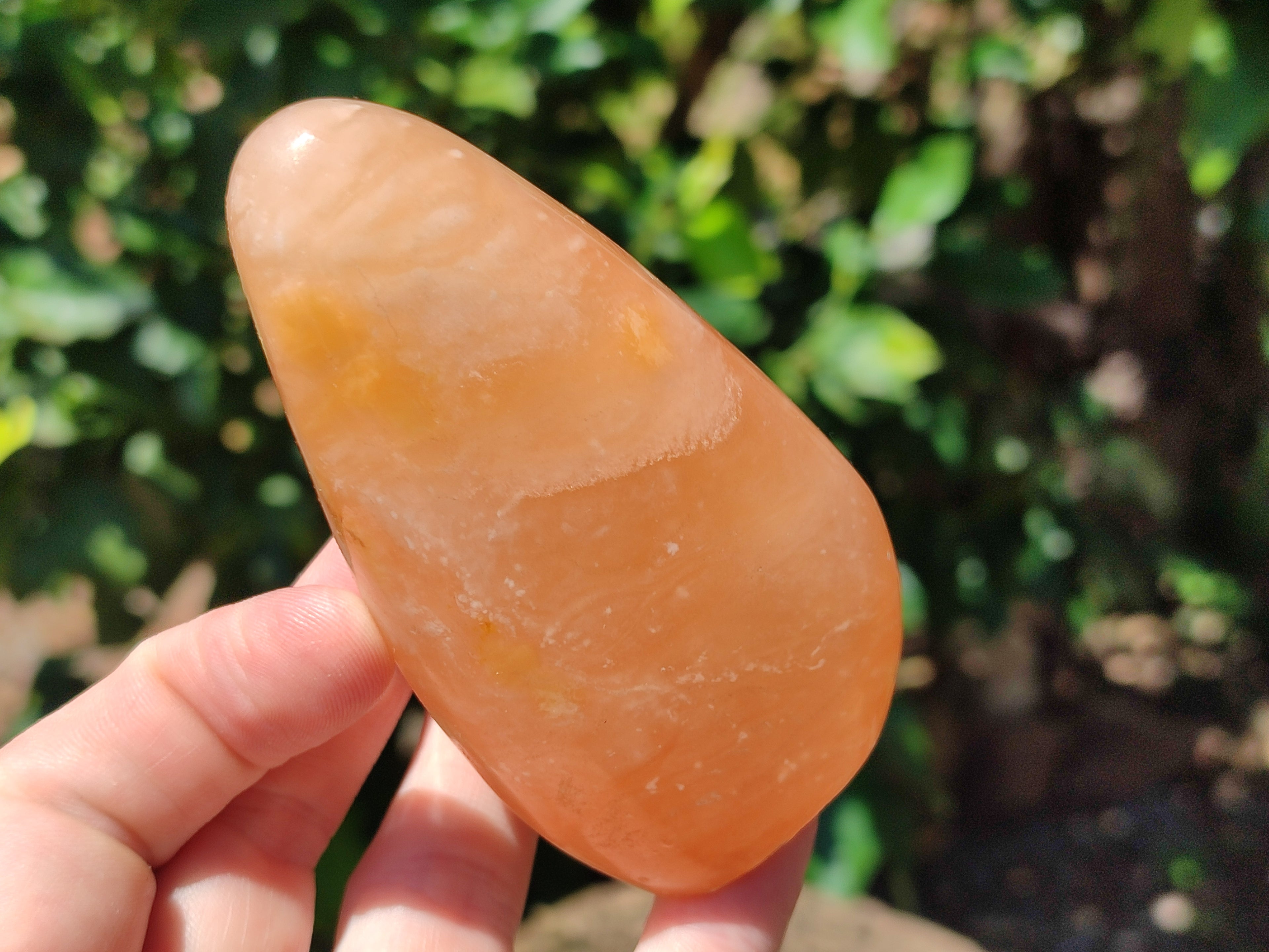 Polished Orange Twist Calcite Standing Free Forms x 2 From Madagascar - Toprock Gemstones and Minerals 