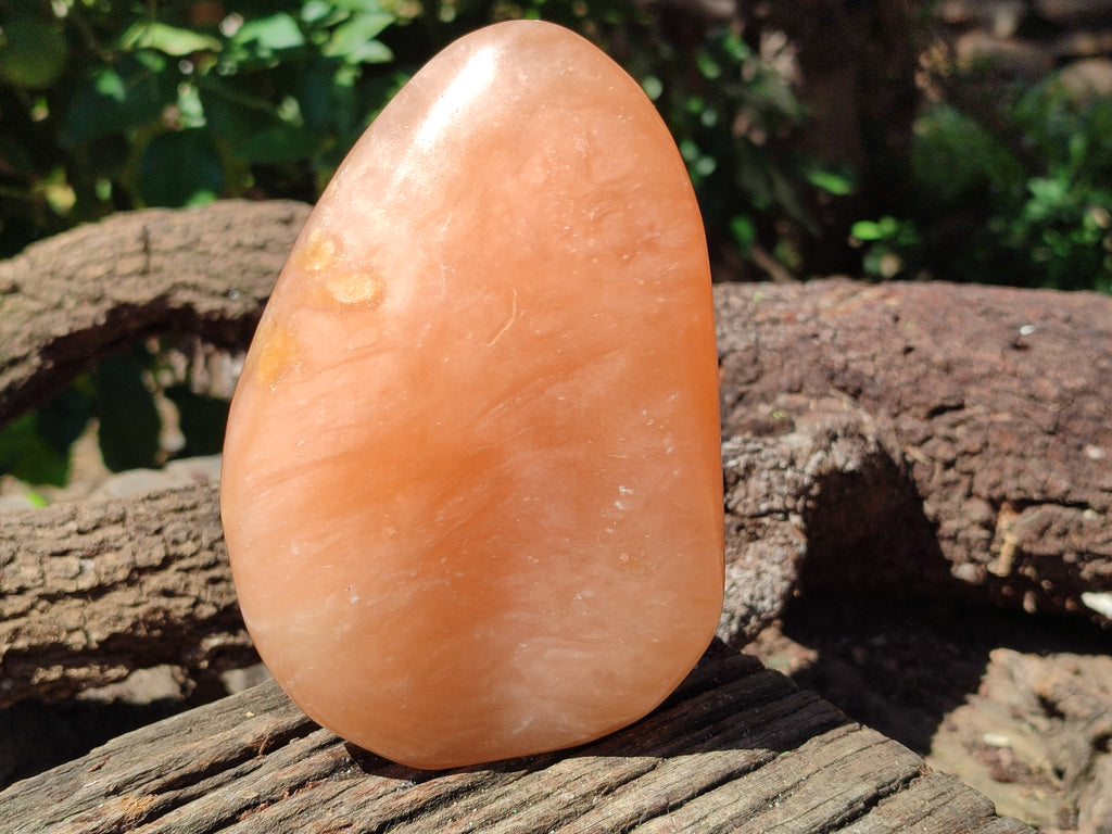 Polished Orange Twist Calcite Standing Free Forms x 2 From Madagascar - Toprock Gemstones and Minerals 