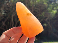 Polished Orange Twist Calcite Standing Free Forms x 2 From Madagascar - Toprock Gemstones and Minerals 