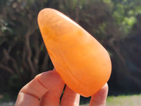 Polished Orange Twist Calcite Standing Free Forms x 2 From Madagascar - Toprock Gemstones and Minerals 