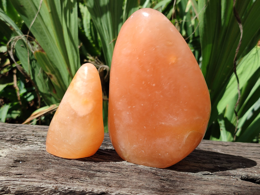 Polished Orange Twist Calcite Standing Free Forms x 2 From Madagascar - Toprock Gemstones and Minerals 