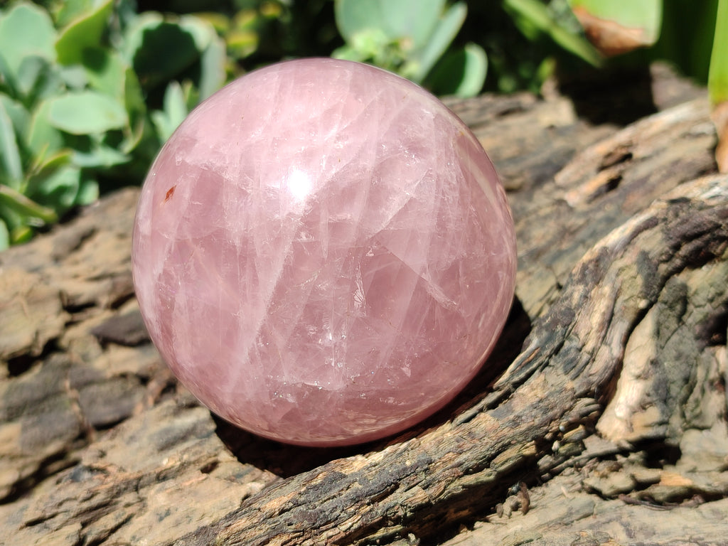 Polished Rose Quartz Spheres x 3 From Ambatondrazaka, Madagascar - Toprock Gemstones and Minerals 