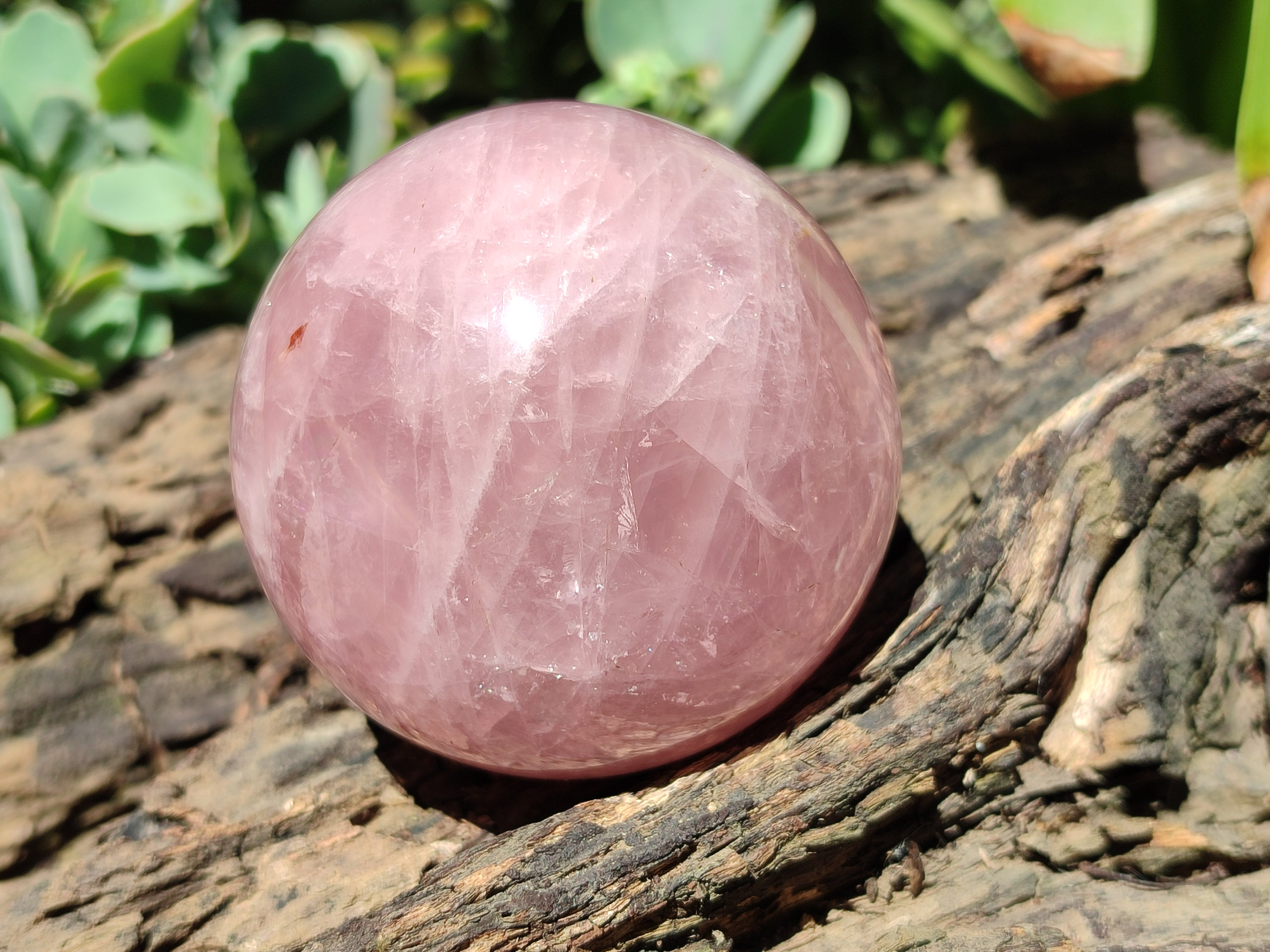 Polished Rose Quartz Spheres x 3 From Ambatondrazaka, Madagascar - Toprock Gemstones and Minerals 