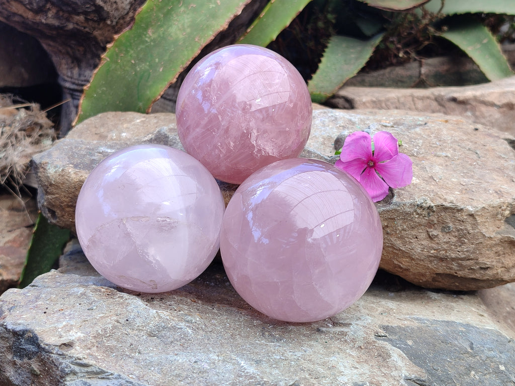 Polished Rose Quartz Spheres x 3 From Ambatondrazaka, Madagascar - Toprock Gemstones and Minerals 