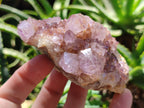 Natural Amethyst Spirit Quartz Clusters x 6 From Boekenhouthoek, South Africa - Toprock Gemstones and Minerals 