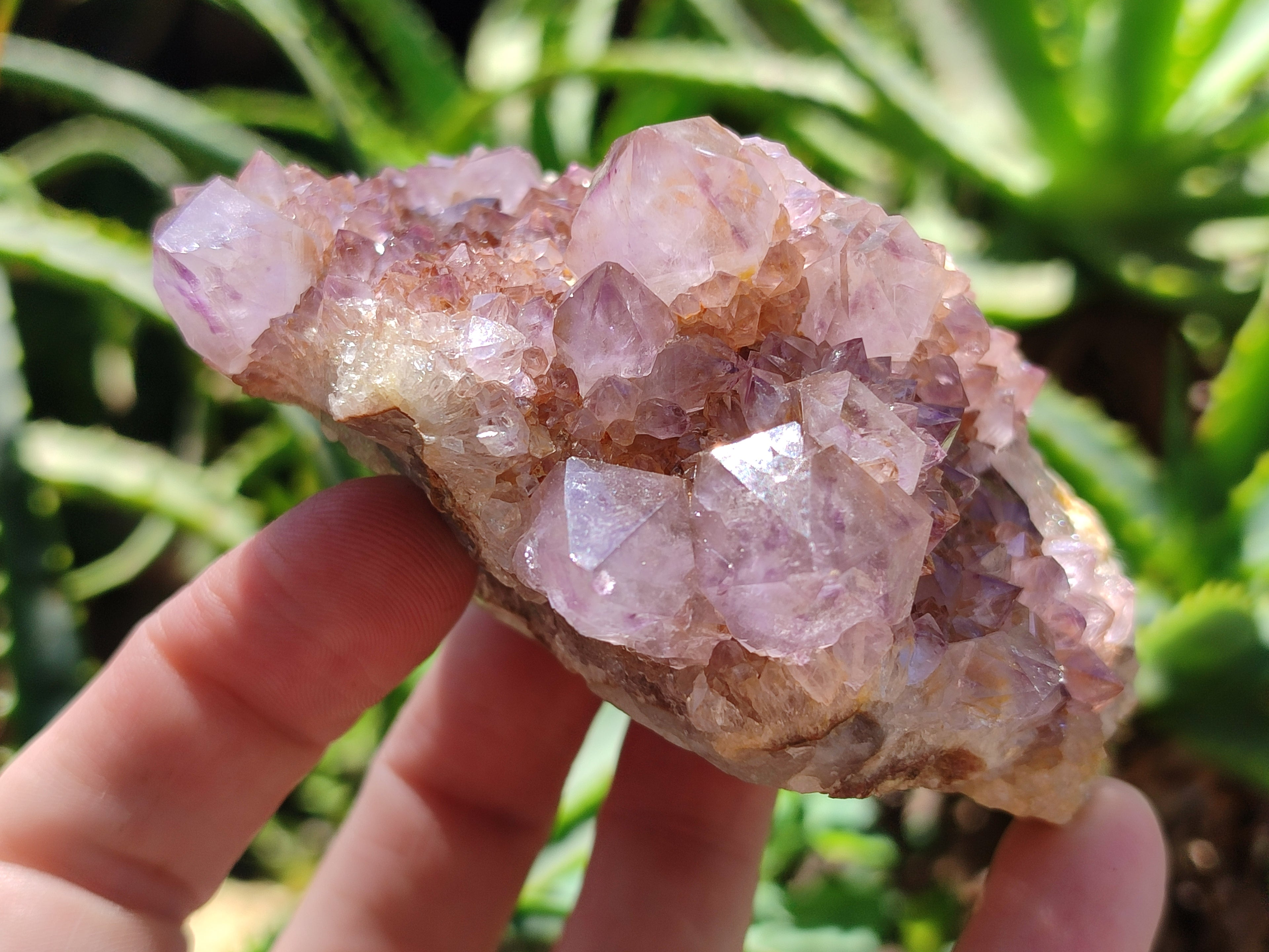 Natural Amethyst Spirit Quartz Clusters x 6 From Boekenhouthoek, South Africa - Toprock Gemstones and Minerals 