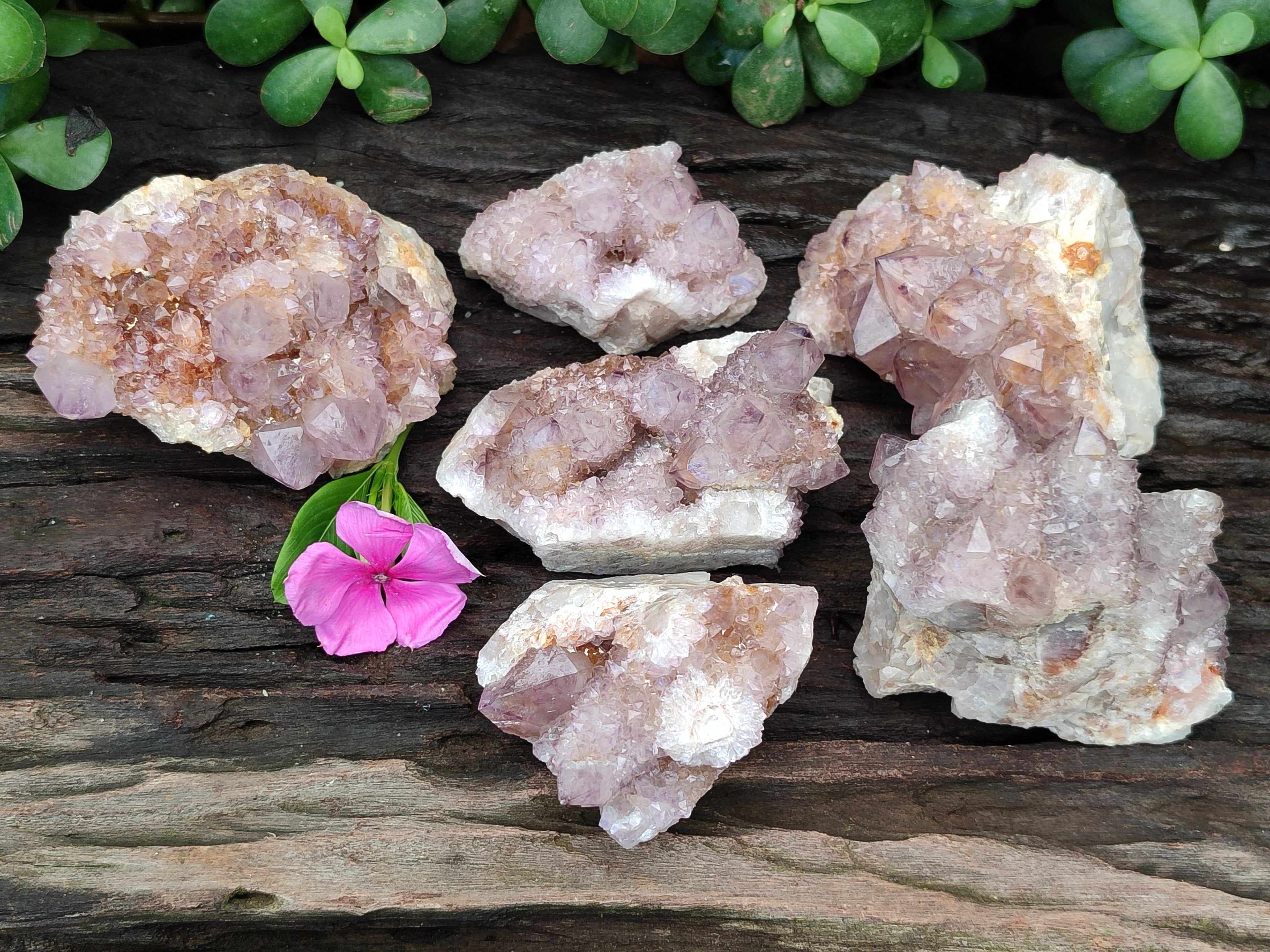 Natural Amethyst Spirit Quartz Clusters x 6 From Boekenhouthoek, South Africa - Toprock Gemstones and Minerals 