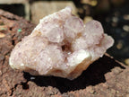 Natural Amethyst Spirit Quartz Clusters x 6 From Boekenhouthoek, South Africa - Toprock Gemstones and Minerals 